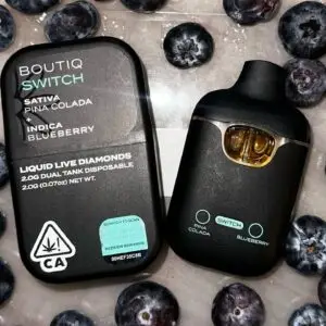 boutiq switch 2g