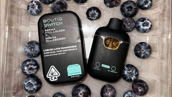 boutiq switch 2g
